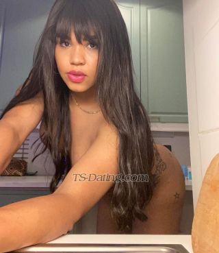 trans girl pamelacruz 6807195 trans girl pamelacruz 6807195