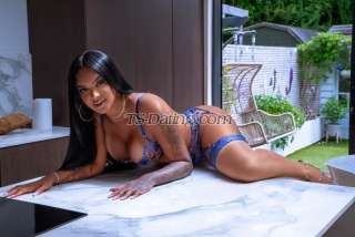 trans girl paulamori123 9484210 trans girl paulamori123 9484210