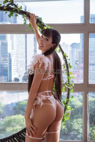 trans girl perolaxl 5201702 trans girl perolaxl 5201702