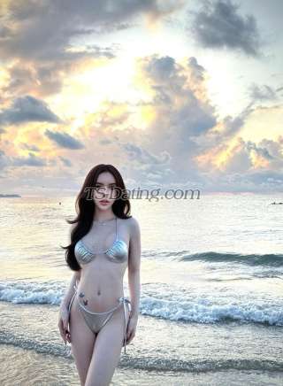 trans girl phamnhaan116 5272563 trans girl phamnhaan116 5272563