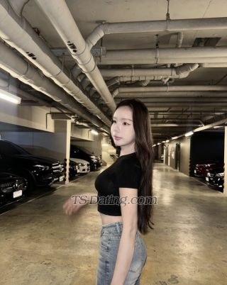 trans girl ployrin 8348600 trans girl ployrin 8348600