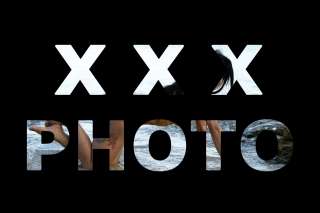 trans girl pollyana 8554625 trans girl pollyana 8554625