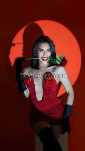 trans girl prettyangeel 8543761 trans girl prettyangeel 8543761