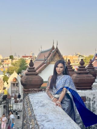 trans girl prettyangeel 9596147 trans girl prettyangeel 9596147