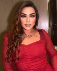 Qish Adrianna Kuala Lumpur Transex Now in Sentul (OUTCALL AVAILABLE) 

-- I HAVE MY PRIVATE CHANNEL XXX - - 
DM ME FOR BUY TELE @asyamenrose

Hello there handsome, I’ve been expecting you - thank you for dropping by my page!

I’m Ts Asya Menrose , your 24 years old pure Malay Pisces  queen. If it is a wonderful girlfriend experience (GFE) that you’re looking for, just know that I’m that person. So look no further.

Versatile Trans ; lemme teach you. 👩‍🏫

Voluptuous body shape with a fabulous cut of  if that doesn’t wow you I don’t know what will.

* Available for incall and outcall
* Anal and oral (with condom only) 💦
* No fussy and disrespectful clients allowed! ❌
* CONTACT ME VIA WHATSAPP MESSAGING ONLY: (0165760422 )

Looking forward to fulfills your desires. Have a great day lovelies.