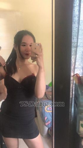 trans girl QueenAmelia 7156028 trans girl QueenAmelia 7156028