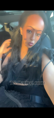 trans girl QueenK 4486799 trans girl QueenK 4486799