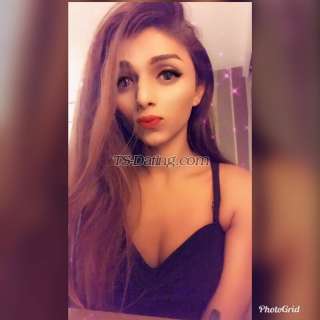 trans girl QueenShona 7490698 trans girl QueenShona 7490698