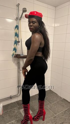 trans girl Amandablack 4173238 trans girl Amandablack 4173238