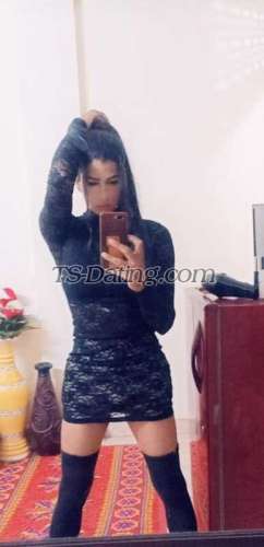 trans girl Queendd 9826085