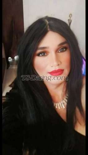 trans girl Queenlaila 6914510 trans girl Queenlaila 6914510