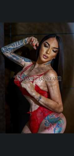 trans girl Queenmonica 1282265 trans girl Queenmonica 1282265