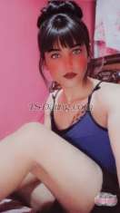 Queinn mona Cairo Transex انا موني شيميل مصري الي جد بس يكبمني