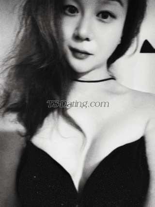 trans girl qianduoduo 9783305