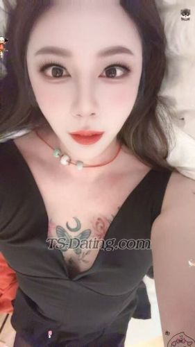 trans girl qianiqian419 2547096 trans girl qianiqian419 2547096