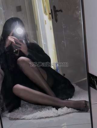 trans girl qiqi24521 3208382 trans girl qiqi24521 3208382