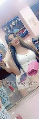 Shemale queensaly 0367082 Shemale queensaly 0367082