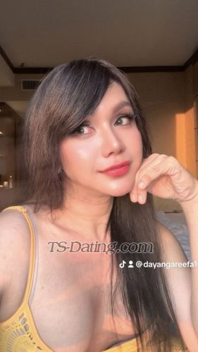 trans girl REEFA46 4319064 trans girl REEFA46 4319064
