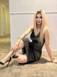 ROCKSTAR TS Kuala Lumpur Transex My name is Chacha from Thailand Mix Japan 26years old real beautiful with big cock

I’m new here staying nice hotel in ( KL  )
if u want try my best service plz travel visit  to find me here Manama contact me  

My Size 7 inches🍆 fuck deep deep in your mouth
Hot cum on your face 

🍆SERVICES INCLUDED🍑
   • Top ✅
   • bottom ✅
   • popper ✅
- Sex with condom✅ 
- Blowjob CIM COF✅
- Handjob✅
- Shower together✅
- Kissing✅
- Rimming✅
- 69 Sexposition✅
- B2B Massage✅
 -BDSM ✅
 -DOMINATION ✅ 
 • Golden shower ✅

SERVICE 💸💸💸
- I CAN TOP AND BOTTOM
- BIG COCK 7 INCHES 
- BDSM ALSO AVAILABLE 
- CAMSHOW
- ONLYFANS

CONTACT ME ❤️

🍆 Telegram:  natureniceka
🍆 WeCha:  Rockstarfive
🍆 Add me WhatsApp:  +66650568781
🍆 Add line id: niceverylove 
🍆 IG : Phichyata 


✅🔞 SUBSCRIBE / Top 👆
 ( https:// onlyfans.com/Chacha888 )

i am a TS.👩🏼🙏Chacha with massive hard like steel 7inch cock with an outstanding passion of making men experience the finest sexcapade of their lives

i will surely make your cum the most unforgettable explosion of burst through exciting fantasies and dreams in bed that you are longing to come true,

all men and first timers are welcome to taste the creamyness of my cum i have a gentle touches like an angel but it will make you feel the satisfaction at its finest level that makes your dreams and fantasies come alive

i am versatil warrior on top and aphrodite goddess of beauty on POWER TOP SWEET BOTTOM can BDSM Complete Equipment  also be your GFE with passionate kisses and tender cuddles complimented with soothing,relaxing massage that takes your body heat into a boiling point of explosion cum

dont be afraid to try all new fantasies in life because i am here ts. Chacha a 7inches 26 y.o

and i will give you the best of both world that will surely you'll keep on asking for more

this is a LUST like no other...  👧👩🏼👇👇👇

TS.👩🏼Chacha From 🇹🇭 Thailand  mix Japan 

available for in calls and out calls., a hundred percent real and legit photos ... 

- i also service specially made videos of your requested fantasies and desires 

🎥 OPEN for CumShow/CAMSHOW 


🎥 Watch me live fuck,suck, top & dominate then cum togethee with another guy through video call on whatsapp & line ..

🎉Telegram: natureniceka
🎉WeChat: Rockstarfive
🎉Add me WhatsApp: +66650568781
🎉Add me line : Niceverylove 


Thank for everyone visiting me 🍆💦
