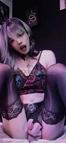 trans girl RachelSGXD 4413620 trans girl RachelSGXD 4413620