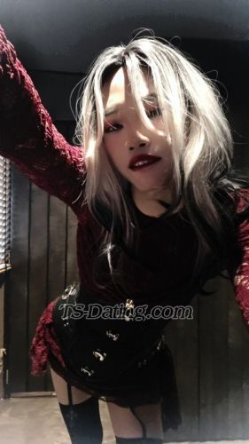 trans girl RachelSGXD 8493931 trans girl RachelSGXD 8493931