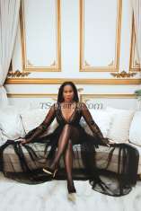 RachelSmithe Bari Transex First timers welcome | Sensual Domina | Certified
Bondassage® Practitioner & Global Master
TrainerFully functional + cut📌 
REQUEST AN APPOINTMENT Email: TSRachelEurope@gmail.com
The following details must be provided when you
inquire for an appointment:  date + time + length of meeting
ex. 25 March, 14:00, 2hrs, so please complete our
booking form. Life is too short and full of
regrets, don’t you think?  Maybe you are craving for
intimacy, or want to broaden your horizons? Are you into
sensual domination, fetish or kink? Through technique,
instinct, tools or toys, Rachel will make sure your
boundaries are safely and respectfully pushed. We surely
believe Rachel is truly 'the best of both worlds'
!Make fantasies a reality, and maybe we can help
you along your journey of sensuality and
self-discovery.'Quality over Quantity' –
Mistress Preferences in Gentlemen:Respectful, hygienic,
open to exploration and willing to connect. Those seeking a
rushed encounter, or only desire for her to “finish”,
but do nothing to actually achieve that goal are not a good
fit.ATTENTION ! Asking Mistress to
“Finish”:When inquiring for a brief moment (e.g., 1
hour), please consider that Rachel hosts multiple guests
during her tour. Demanding specific requests like 'nectar'
in such short appointments reflects a lack of understanding
and awareness. Rachel prioritises the quality of each
encounter and strives to ensure every guest leave satisfied.
She is delighted to fulfil this special request with
gentlemen interested in spending meaningful time together,
beyond just one hour. Keep in mind that Rachel values
connection and mutual stimulation in her
interactions.🔱 SERVICESAnal
(giving)Anal TrainingBBBJBDSMBody
glideBondageBondassage®Breath
PlayCBTClothespinsCum In MouthDirty
TalkEdgingElysium by Bondassage®E-stim/Tens
UnitEnema TrainingFacesitting /
QueeningFisting (give)FloggingFoot
WorshipFrench KissingFull Body Sensual
MassageHair Pulling (active)Golden Shower
(giving)Hydro-Rape (high powered & humbling DEEP
cleaning)LactationMilking TableMutual Bathing
/ ShowerNipple Play/
TorturePumpingPoppersRimming
(receiving)Role
PlayShavingSpankingTantraTicklingTo
ysTramplingVerbal
HumiliationWrestling🔱 Hygiene Reference
Links  - because it matters!1.
cosmopolitan.com/uk/love-sex/sex/a12007398/rimming-tips
2.twitter.com/cmclymer/status/1493679378814976004kinkly.com/
5-steps-to-straight-guy-comfort-with-anal-sex/2/18333.
EnemaTips.com4.
kinkly.com/2/1391/beyond-missionary/anal-sex/the-5-rules-of-
anal-play-for-straight-men5.
maleq.org/douching-for-men-how-to-before-anal-sex6.
maleq.org/how-to-make-anal-sex-not-hurt7.
puckerup.com/category/sex-ed/anal-advisor🔱 TOYS
/ TOOLS.Ball Stretchers (Stackable
Silicone)BlindfoldsChastity
DevicesClothespinsCock RingsDildos / Butt
Plugs (S/M/L/XL)eStim / Tens Unit (anal /cock/ balls /
nipples)Floggers (fur / leather)Gloves for
prostate milking & fistingHummingbird & Prostate
attachment for HitachiInflatable Anal
StretcherLatex Evening Length GlovesLeather
Bondage GearLeather Evening Length GlovesMask /
HoodNipple ClampsPaddleSatin Evening Length
GlovesSnake Bite Nipple TrainersUnder Bed
RestraintsWartenberg Wheel🔱
OUTFITS.Body StockingsFine
LingerieG-StringJeansLatexPatent or
Leather Thigh High BootsPatent or Leather
CorsetPatent or Leather High HeelsStockings &
SuspendersYoga / sportswear* G-String,
Thongs, Panties, Thigh Highs & Body Stockings for clients
who like to Cross Dress📌 PAYMENT
OPTIONSSWISH, Cash, STRIPE, REVOLUT, Credit Card (5%),
PayPal (5%)BitcoinFor appointments outside
Europe, welcome to contact staff@ts-rachel.com