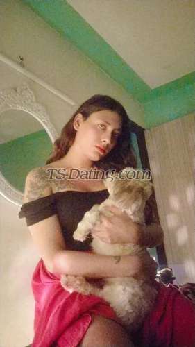 trans girl Ragni70 4337716 trans girl Ragni70 4337716