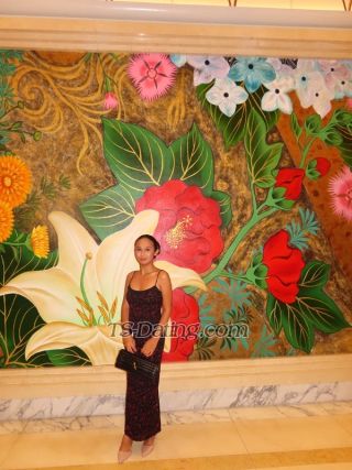 trans girl RaineTS 4938020 trans girl RaineTS 4938020