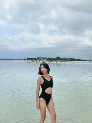 trans girl RaineTS 7388348 trans girl RaineTS 7388348