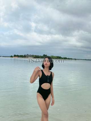 trans girl RaineTS 7388381 trans girl RaineTS 7388381