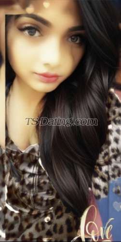 trans girl Rashmii 3206680