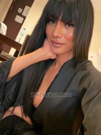Raven Lust Dubai Transex Je suis Raven Lust — Votre fantasme philippin prend vie. Exotique. Élégant. Inoubliable. Fraîchement arrivée et prête à concrétiser vos désirs les plus fous. Que vous recherchiez une douce muse soumise ou une présence audacieuse et imposante, je suis l'évasion idéale : polyvalente, expérimentée et profondément intuitive. Je suis spécialisée dans les rencontres inoubliables : 💋 Une compagnie passionnée pour les débutants ou les explorateurs chevronnés 💋 Massages érotiques qui taquinent et plaisent 💋 Striptease séduisant et shows privés 💋 Kinks explorés avec classe — de la domination sensuelle à la douce soumission 💋 Disponible pour les couples, les trios et les fantasmes exclusifs 💋 Ouvert aux expériences grecques, dorées et plus sur demande ✨ Je suis un Power Top et un Sensual Bottom ✨ Bien doté, toujours lisse, propre et prêt ✨ Petite, bronzée et authentiquement moi — chaque photo est 100 % réelle Si vous avez envie d'une connexion discrète mais électrisante, je ne suis qu'à un message. Transformons l'ordinaire en inoubliable. La vie est courte, bébé, offre-toi quelque chose d’extraordinaire. 📲 Connectez-vous avec moi : LIGNE : Sn3aky69 Télégramme : ashy4you WeChat : imperial_ashley (Whatsapp et Viber disponibles sur demande)