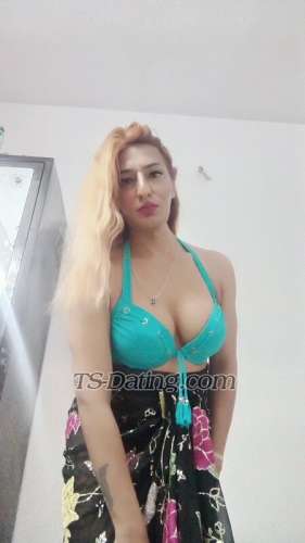 trans girl Rehul 8798072 trans girl Rehul 8798072