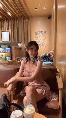 trans girl Reighwantsyou 4241540 trans girl Reighwantsyou 4241540