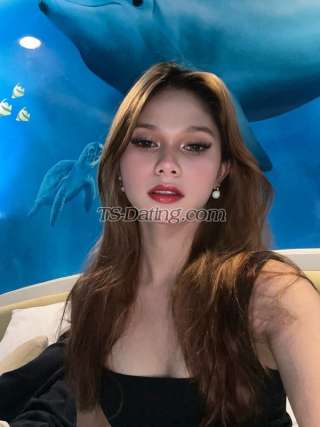 trans girl Renatservice 7026348 trans girl Renatservice 7026348