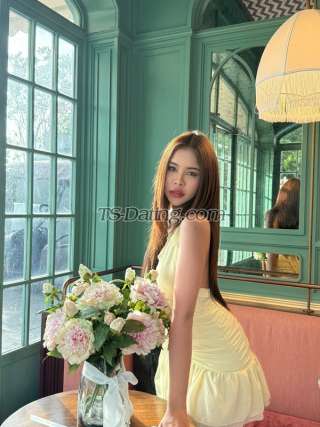 trans girl Reyaya 6612606 trans girl Reyaya 6612606