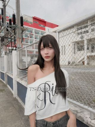 trans girl Rindareenar 8423502 trans girl Rindareenar 8423502