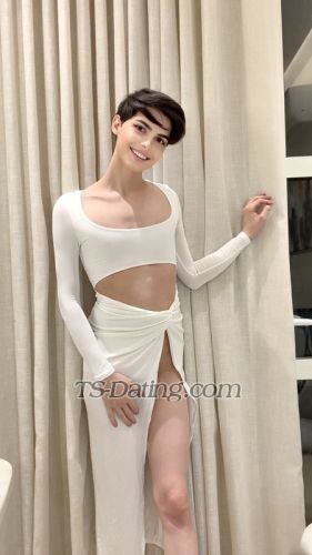 trans girl Rorolebanon 8094597 trans girl Rorolebanon 8094597