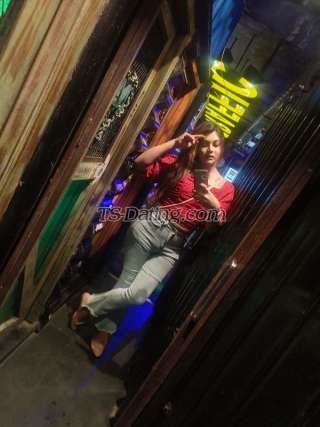 trans girl Rose9804 7847201 trans girl Rose9804 7847201