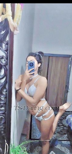 trans girl Rosebaby 5091020 trans girl Rosebaby 5091020