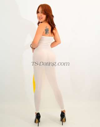 trans girl Rosethai 2496216 trans girl Rosethai 2496216