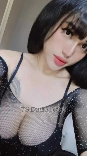 trans girl Rossaputrie 7197532 trans girl Rossaputrie 7197532