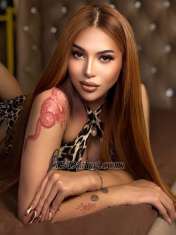 Royallicious Makati Transex Hello it’s me ROYAL 22 NEW Model want to explore my 24
hours horny side in BED want to be my first 

For
booking 
What’s up +63 926 902 6187
Telegram
@Royalnes1010
Line https://line.me/ti/p/xMbVvGdm9D

We chat @Royalness1010