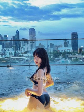 trans girl Royce168 6793132 trans girl Royce168 6793132