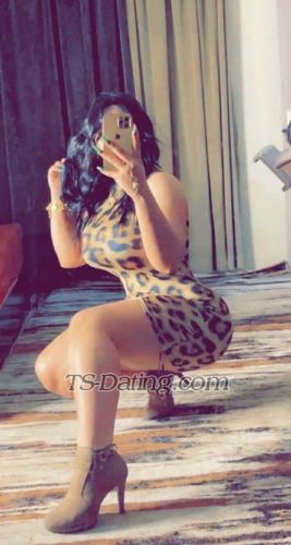 trans girl Rozzeh 2131414 trans girl Rozzeh 2131414