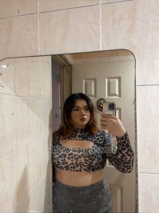 trans girl rikafox 9292220