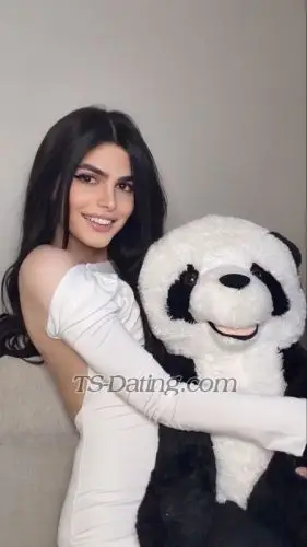 Shemale rosariasexy 3189843 Shemale rosariasexy 3189843