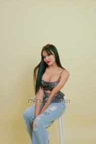 rosebella Kuching Transex hot shemale big dick
-69
-asklick
-bdsm
-kinky
-fuck
-romance
-sweetcouple
i got 6inch Fat and Thick FULLY FUNCTIONAL COCK WITH CREAMY CUM

Let my photos describe myself that im telling the truth, since you already have idea about me lets move to my services,

READ IT CAREFULLY❗️

SERVICES ✅

✅Incall & OUTCALL

✅Top & Bottom (Safe Sex Only)

✅Oral Sex

✅Erotic Massage / Body Rub / Body Slide

✅Hand JOB

✅Boobs Fuck

✅Anal Sex

✅Lingeries (I have a lot of Lingerie)

✅Full Versatile ( TOP & BOTTOM )

ATTENTION❗️ All first timers very welcome ❗️ Curious , and want to Explore and try something New are welcome to my World🌎

Im here to Fullfill your Fantasies and make it into Reality✅

if you want to take and try my Service just message me anytime!! Im always available for you! Lets make our time with Full of Desire and SatisFUCKtion🫦
