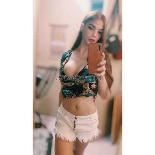 trans girl roxieuy 4556579 trans girl roxieuy 4556579