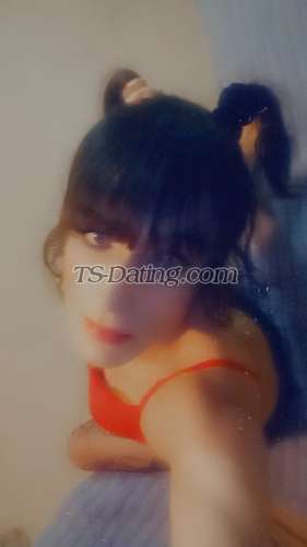 trans girl S1SSYS1UT 9845465 trans girl S1SSYS1UT 9845465